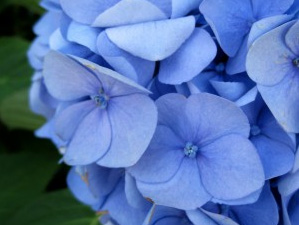 ��7�Ӂ������ɻ����o�M��
